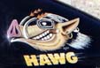 mc-hawg-t