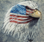 mc_eagle_t