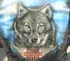 mc_leatherwolf_t