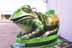 res_frog1_t