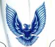 stepby_taeagle5_t
