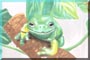 tg-frog2-t
